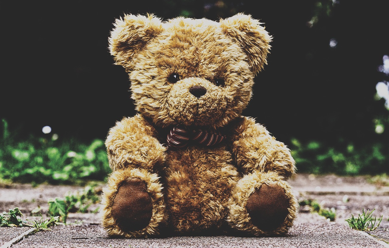 teddy bear, stuffed animal, teddy-3599680.jpg