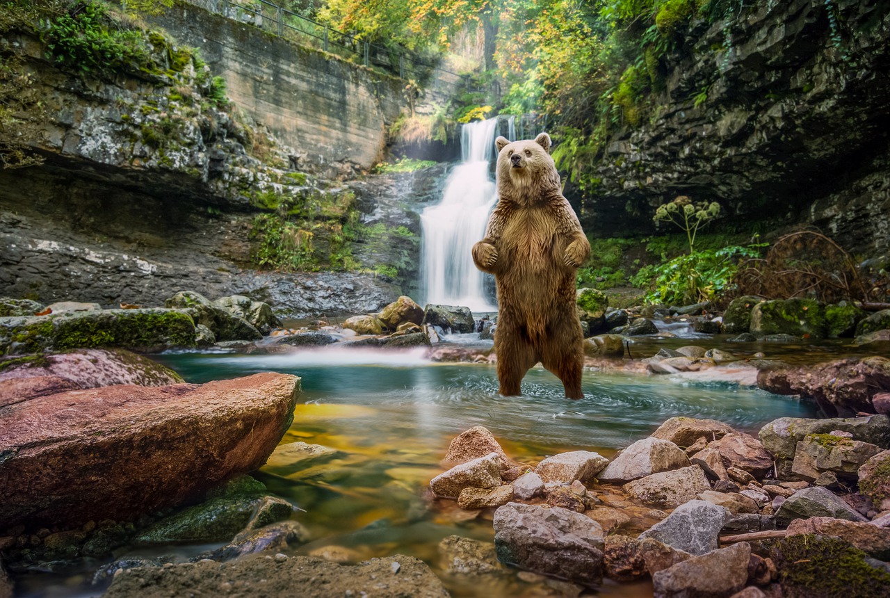 brown bear, waterfall, river-7523712.jpg